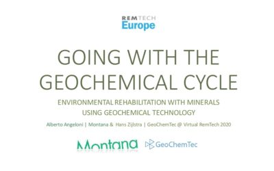 RemTech 2020: Going with the geochemical cycle