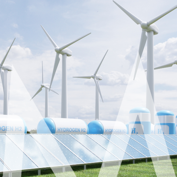 Idrogeno Verde: sfide e opportunità per la transizione energetica