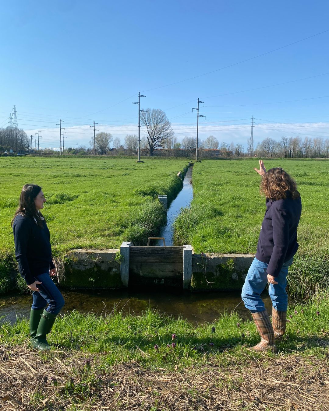 ECHOES-Nosedo Marcita Progetto Polimi Montana