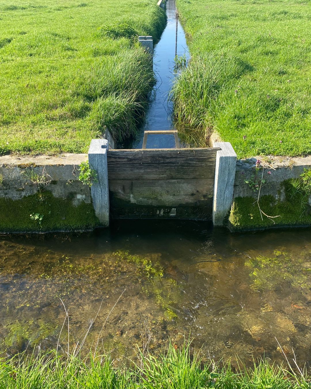 ECHOES-Nosedo Progetto Marcita