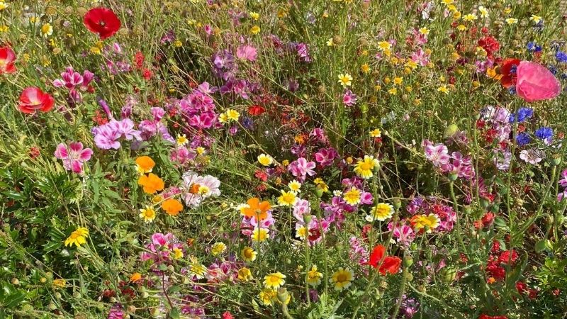 Consapevolezza e approccio integrato al cambiamento climatico nella progettazione