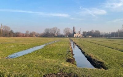 ECHOES-Nosedo: Marcita Living Lab progetto in collaborazione con Polimi