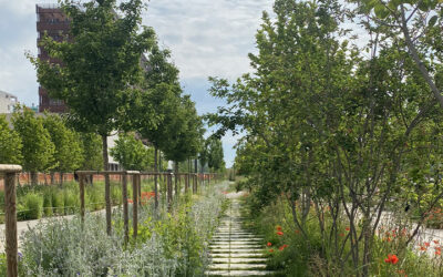 Integrating Nature: il nuovo NbS Catalogue di Montana per il Water Positive Design