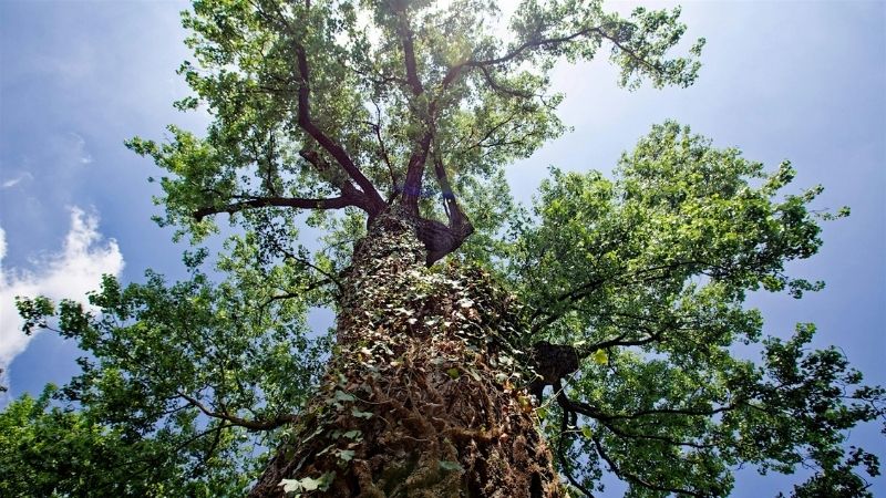 Convegno: La bonifica di Seveso e Meda cinquant’anni dopo